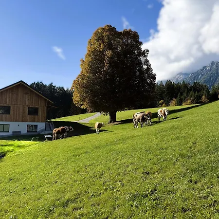 Naturchalet Forster Διαμέρισμα