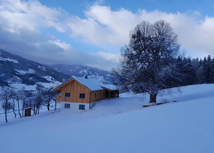 Naturchalet Forster Appartement Haus im Ennstal
